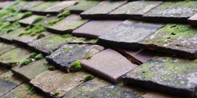 Par roof repair costs